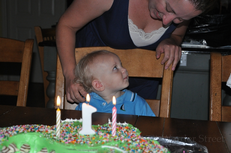 William's 2nd 1st Birthday Party 296.jpg